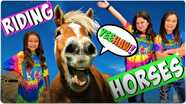Learn How to Ride a Horse!