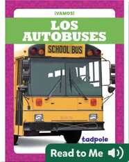 Los Autobuses