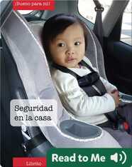 Seguridad en la casa (Safety around the home)