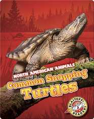 Common Snapping Turtles