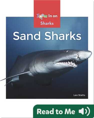 Sand Sharks book