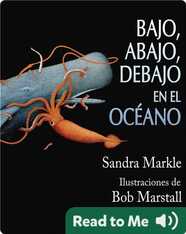 Bajo, Abajo, Debajo En El Océano