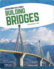 Engineering Challenges: Building Bridges