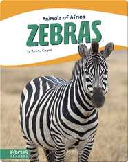 Animals of Africa: Zebras