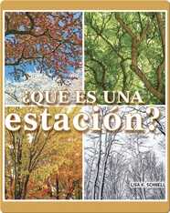 ¿Qué es una estación?: What is a Season?