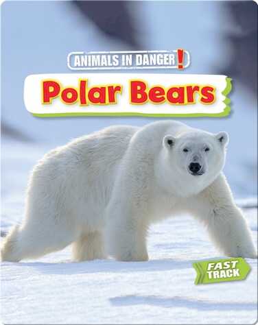 Animals in Danger: Polar Bears book