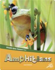Animals Have Classes Too!: Amphibians