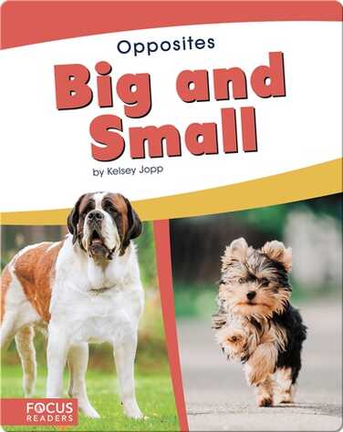 Opposites: Big and Small book