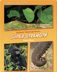 Super Strength