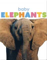 Starting Out: Baby Elephants