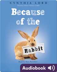Because of the Rabbit