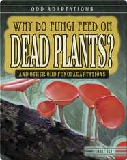 Why Do Fungi Feed on Dead Plants? And Other Odd Fungi Adaptations