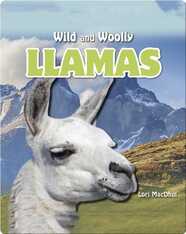 Llamas