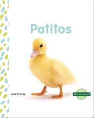Patitos