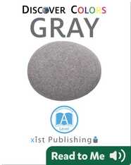 Discover Colors: Gray