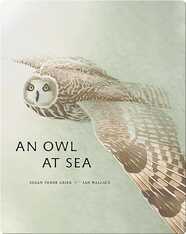 An Owl At Sea