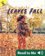 Leaves Fall