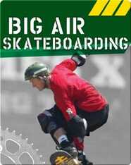 Big Air Skateboarding