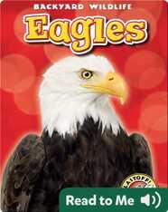 Eagles: Backyard Wildlife