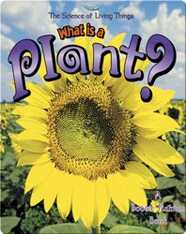 What is a Plant?