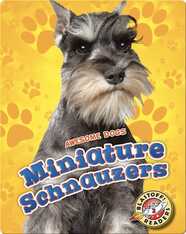 Awesome Dogs: Miniature Schnauzers