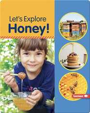 Let's Explore Honey!