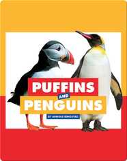 Comparing Animal Differences: Puffins and Penguins