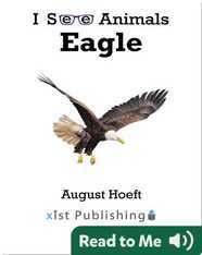 I See Animals: Eagle