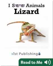 I See Animals: Lizard