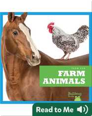 Farm Fun: Farm Animals
