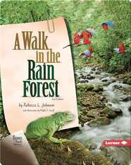 A Walk in the Rain Forest