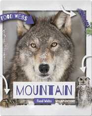 Mountain Food Webs