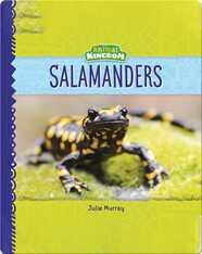 Animal Kingdom: Salamanders