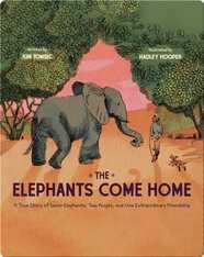 The Elephants Come Home