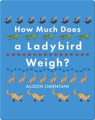How Much Does a Ladybird Weigh?