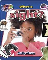 What is Sight?