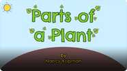Parts Of A Plant