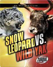 Animal Battles: Snow Leopard vs. Wild Yak