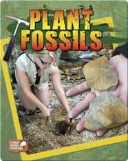 Plant Fossils