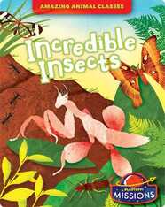Amazing Animal Classes: Incredible Insects