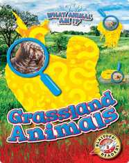 What Animal Am I?: Grassland Animals