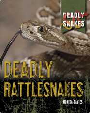 Deadly Snakes: Deadly Rattlesnakes