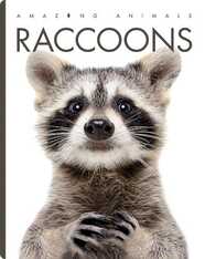Amazing Animals: Raccoons