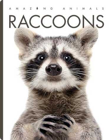 Amazing Animals: Raccoons book