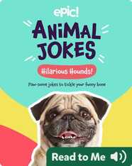 Animal Jokes: Hilarious Hounds