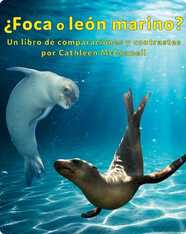 ¿Foca o león marino? Un libro de comparaciones y contrastes