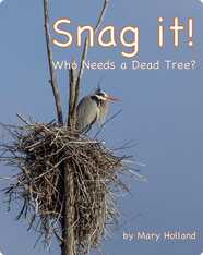 Snag It: Who Needs a Dead Tree?