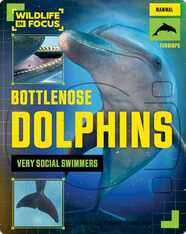 Bottlenose Dolphins: Very Social Swimmers