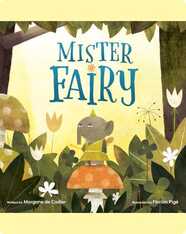 Mister Fairy