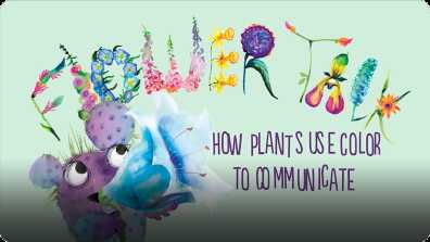 Flower Talk book